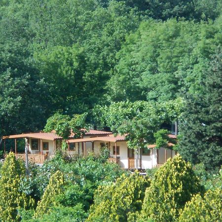 Campeggio Pian Dei Boschi Pietra Ligure Exteriér fotografie